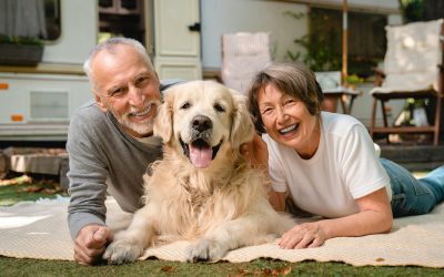 Golden Years on the Go: Traveling Safely with Elderly Pets